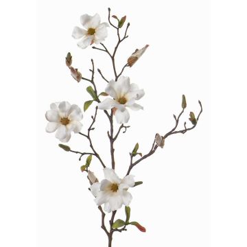Magnolia falsa MARGA, blanca, 80cm, Ø6-8cm Magnolia falsa MARGA, blanca, 80cm, Ø6-8cm