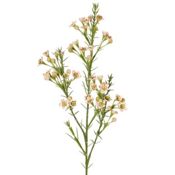 Rama artificial de flor de cera FRINDALS, rosa claro-blanco, 65 cm, Ø 1,5-2 cm