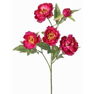 Rama artificial de peonía LARDUAN, Colección Eco, fucsia, 60cm, Ø7cm Rama artificial de peonía LARDUAN, Colección Eco, fucsia, 60cm, Ø7cm