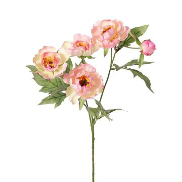 Rama artificial de peonía LARDUAN, Colección Eco, rosa y blanco, 60 cm, Ø 7 cm Rama artificial de peonía LARDUAN, Colección Eco, rosa y blanco, 60 cm, Ø 7 cm