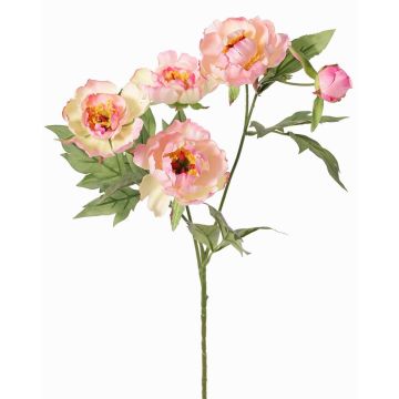Rama artificial de peonía LARDUAN, Colección Eco, rosa-blanco, 60cm, Ø7cm Rama artificial de peonía LARDUAN, Colección Eco, rosa-blanco, 60cm, Ø7cm
