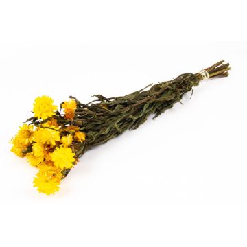 Ramo de flores de paja mediterráneas secas ALMINKA, amarillo, 50-60 cm, Ø 15 cm Ramo de flores de paja mediterráneas secas ALMINKA, amarillo, 50-60 cm, Ø 15 cm