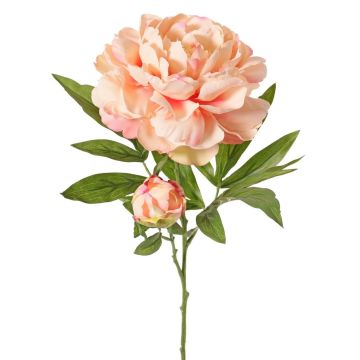 Flor artificial de peonía WARDUAN, Colección Eco, salmón, 65 cm, Ø 15 cm Flor artificial de peonía WARDUAN, Colección Eco, salmón, 65 cm, Ø 15 cm