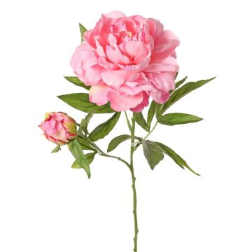 Flor artificial de peonía WARDUAN, Colección Eco, rosa, 65 cm, Ø 15 cm Flor artificial de peonía WARDUAN, Colección Eco, rosa, 65 cm, Ø 15 cm