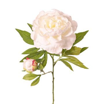 Flor artificial de peonía WARDUAN, Colección Eco, blanco, 65 cm, Ø 15 cm Flor artificial de peonía WARDUAN, Colección Eco, blanco, 65 cm, Ø 15 cm