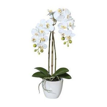 Orquídea Phalaenopsis artificial LARKEN en maceta de cerámica, con raíces, blanca, 45 cm