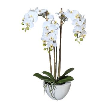 Orquídea Phalaenopsis artificial LARKEN en cuenco de cerámica, con raíces, blanca, 50cm Orquídea Phalaenopsis artificial LARKEN en cuenco de cerámica, con raíces, blanca, 50cm