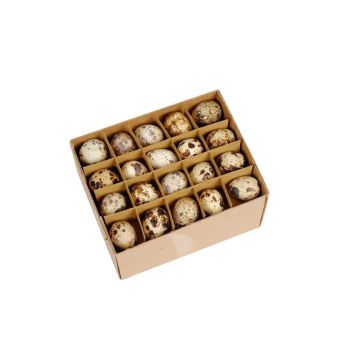 Huevos de codorniz decorativos BACO, 60 unidades, decoración de Pascua, color natural Huevos de codorniz decorativos BACO, 60 unidades, decoración de Pascua, color natural