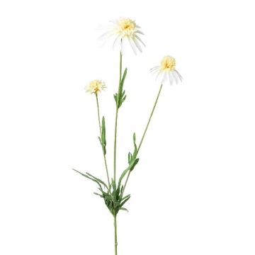 Rama artificial de equinácea KAELY, color crema, 65 cm Rama artificial de equinácea KAELY, color crema, 65 cm