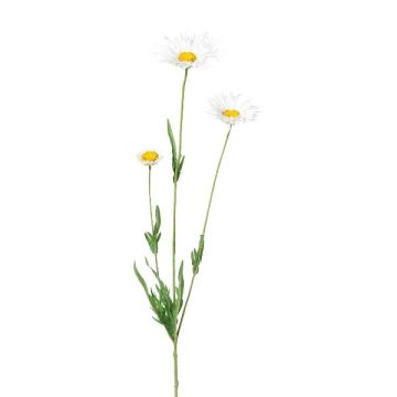 Rama decorativa de margarita FRUHIL, blanca, 65 cm Rama decorativa de margarita FRUHIL, blanca, 65 cm