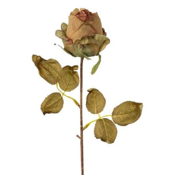 Flor decorativa rosa GROLK, aspecto seco, verde-marrón, 45cm, Ø6cm Flor decorativa rosa GROLK, aspecto seco, verde-marrón, 45cm, Ø6cm