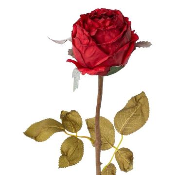Flor decorativa rosa ZONFER, aspecto seco, roja, 60cm, Ø8cm Flor decorativa rosa ZONFER, aspecto seco, roja, 60cm, Ø8cm