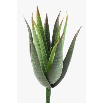 Planta artificial Aloe Variegata MARTINEZ con palo, verde, 30cm, Ø17cm Planta artificial Aloe Variegata MARTINEZ con palo, verde, 30cm, Ø17cm