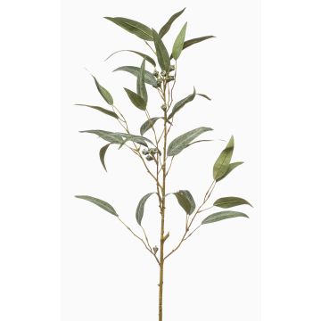 Rama decorativa de eucalipto JURKA con frutos, verde-gris, 90 cm Rama decorativa de eucalipto JURKA con frutos, verde-gris, 90 cm