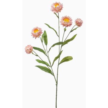 Rama artificial de flor de paja SNAVIK, rosa, 70cm Rama artificial de flor de paja SNAVIK, rosa, 70cm