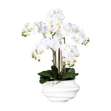 Orquídea Phalaenopsis de tela ZALBROK, jarrón decorativo blanco, raíces blancas, 75 cm