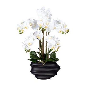 Orquídea Phalaenopsis de tela ZALBROK, jarrón decorativo negro, raíces blancas, 75 cm