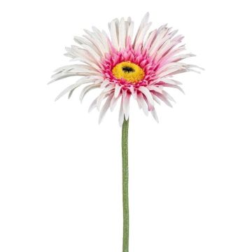 Flor artificial de gerbera FELISY, rosa-blanco, 65cm Flor artificial de gerbera FELISY, rosa-blanco, 65cm
