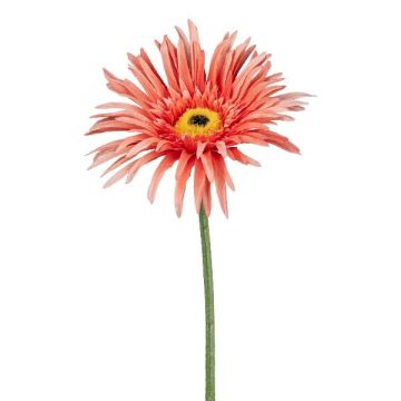 Flor artificial de gerbera FELISY, salmón, 65cm Flor artificial de gerbera FELISY, salmón, 65cm