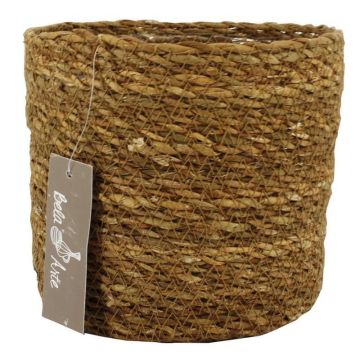 Cesta de algas marinas AMPARO, beige, 12,5cm, Ø14cm Cesta de algas marinas AMPARO, beige, 12,5cm, Ø14cm