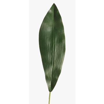 Hoja de palmera artificial Aspidistra PAISA, 75cm