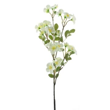 Rama decorativa de flores de manzano WENIA, color crema, 70 cm, Ø 2-4 cm