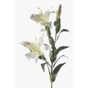 Lirio de plástico KIRSTEN, blanco, 85cm, Ø15cm Lirio de plástico KIRSTEN, blanco, 85cm, Ø15cm