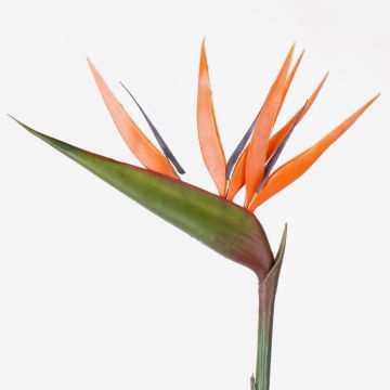 Strelitzia artificial ALLISSA, naranja-morado, 90cm, 17x24cm