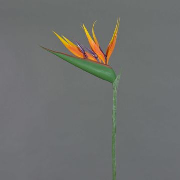 Strelitzia artificial ALLISSA, naranja-morado, 90cm, 17x24cm