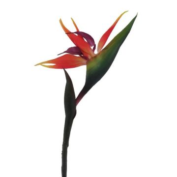 Flor artificial de strelitzia LAMONTI, naranja-violeta, 85 cm Flor artificial de strelitzia LAMONTI, naranja-violeta, 85 cm