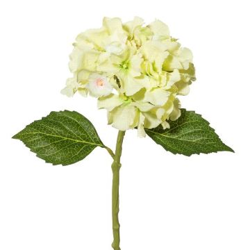 Flor artificial de hortensia BLUVE, verde claro, 35cm Flor artificial de hortensia BLUVE, verde claro, 35cm