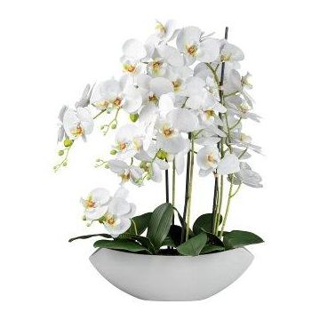 Orquídea Phalaenopsis artificial XELAV, cuenco de cerámica, blanco, 65 cm
