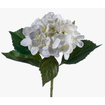 Hortensia artificial GABRIELLA, crema, 50cm, Ø18cm Hortensia artificial GABRIELLA, crema, 50cm, Ø18cm