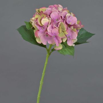 Hortensia artificial GABRIELLA, rosa, 50cm, Ø18cm