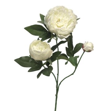 Rama decorativa de peonía MEIRU, color crema, 70 cm, Ø 9-12 cm Rama decorativa de peonía MEIRU, color crema, 70 cm, Ø 9-12 cm
