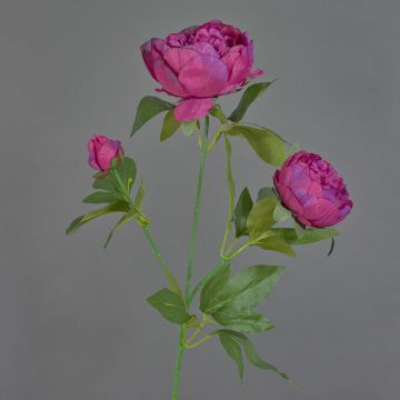 Rama decorativa de peonía MEIRU, violeta oscuro, 70 cm, Ø 9-12 cm Rama decorativa de peonía MEIRU, violeta oscuro, 70 cm, Ø 9-12 cm