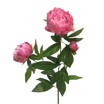 Rama decorativa de peonía MEIRU, rosa, 70 cm, Ø 9-12 cm Rama decorativa de peonía MEIRU, rosa, 70 cm, Ø 9-12 cm
