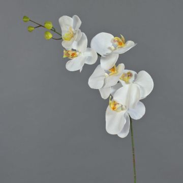 Rama artificial de orquídea Phalaenopsis LANUA, color crema, 70 cm, Ø 8,5-12 cm Rama artificial de orquídea Phalaenopsis LANUA, color crema, 70 cm, Ø 8,5-12 cm