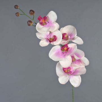 Rama artificial de orquídea Phalaenopsis LANUA, rosa crema, 70 cm, Ø 8,5-12 cm Rama artificial de orquídea Phalaenopsis LANUA, rosa crema, 70 cm, Ø 8,5-12 cm