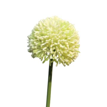 Flor artificial de Allium BAILIN, verde crema, 45 cm, Ø 6,5 cm