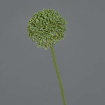Flor artificial Allium BAILIN, verde, 45 cm, Ø 6,5 cm
