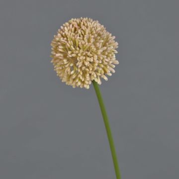 Flor artificial Allium BAILIN, rosa-crema, 45 cm, Ø 6,5 cm