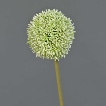 Flor artificial de Allium BAILIN, verde crema, 65 cm, Ø 10 cm