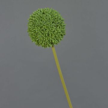 Flor artificial de allium BAILIN, verde, 65 cm, Ø 10 cm