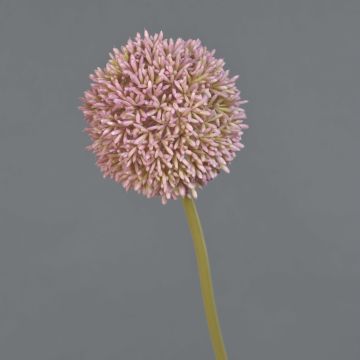 Flor artificial Allium BAILIN, rosa-verde, 65 cm, Ø 10 cm