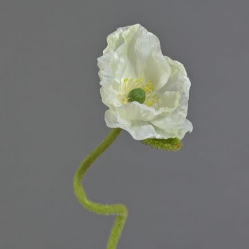 Flor decorativa de amapola ANKANG, color crema, 70 cm, Ø 9,5 cm Flor decorativa de amapola ANKANG, color crema, 70 cm, Ø 9,5 cm