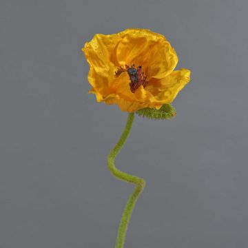 Flor decorativa de amapola ANKANG, amarillo anaranjado, 70 cm, Ø 9,5 cm Flor decorativa de amapola ANKANG, amarillo anaranjado, 70 cm, Ø 9,5 cm