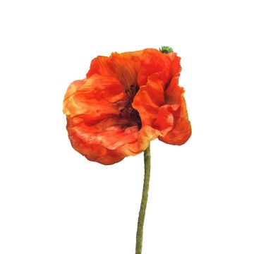 Flor decorativa de amapola ANKANG, naranja, 70 cm, Ø 9,5 cm Flor decorativa de amapola ANKANG, naranja, 70 cm, Ø 9,5 cm