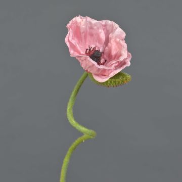 Flor decorativa de amapola ANKANG, rosa, 70 cm, Ø 9,5 cm Flor decorativa de amapola ANKANG, rosa, 70 cm, Ø 9,5 cm
