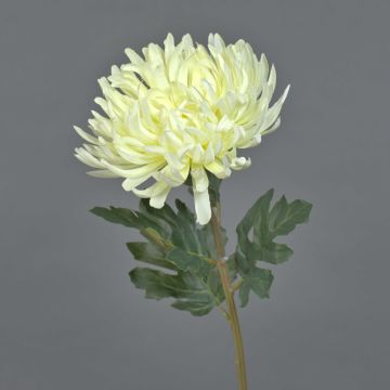 Flor decorativa de crisantemo LINGYUN, color crema, 65 cm, Ø 16 cm Flor decorativa de crisantemo LINGYUN, color crema, 65 cm, Ø 16 cm